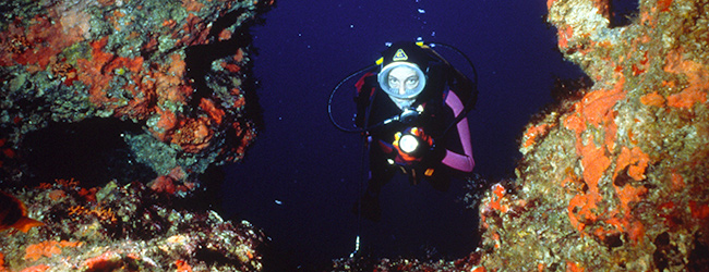 LISA-Sprachreisen-Englisch-Schueler-Malta-Salina-Beach-Strand-Meer-Baden-Freizeit-Aktivitaeten-Freizeitprogramm-Tauchen-Schnorcheln-Unterwasser-Korallenriffe LISA-Sprachreisen-Englisch-Schueler-Malta-Salina-Beach-Strand-Meer-Baden-Freizeit-Aktivitaeten-Freizeitprogramm-Tauchen-Schnorcheln-Unterwasser-Korallenriffe