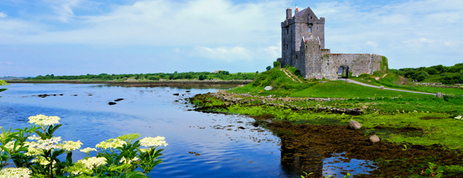 LISA-Sprachreisen-Erwachsene-Englisch-Irland-Galway-Schloss-Castle-See-Blumen LISA-Sprachreisen-Erwachsene-Englisch-Irland-Galway-Schloss-Castle-See-Blumen